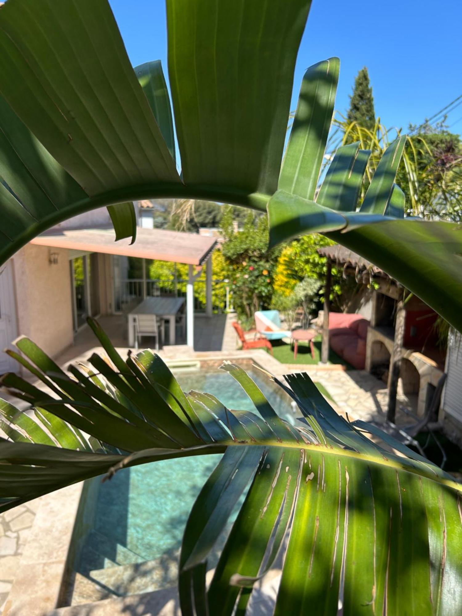 Villa L' Oliviera, Vue Mer Et Plages A Pieds Sète Exterior foto